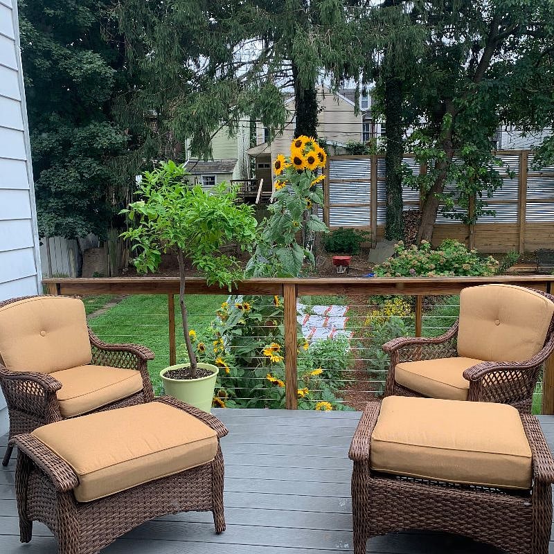 Relax and enjoy the peaceful deck overlooking the backyard 