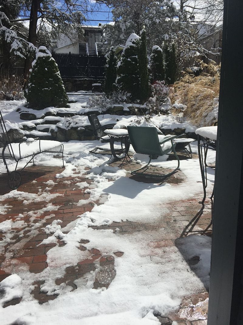 Winter over looking the backyard