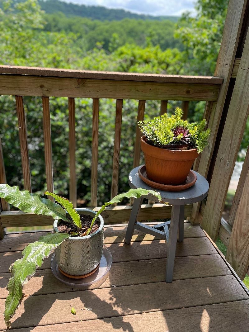 deck