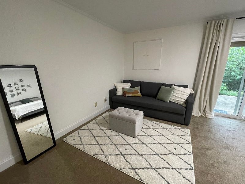 Terrace level living area. Pull out sofa bed, 55" smart TV, extra blankets in ottoman