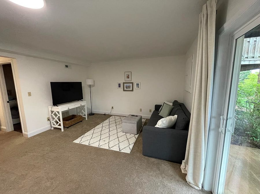 terrace level bedroom with living space, pull out sofa bed