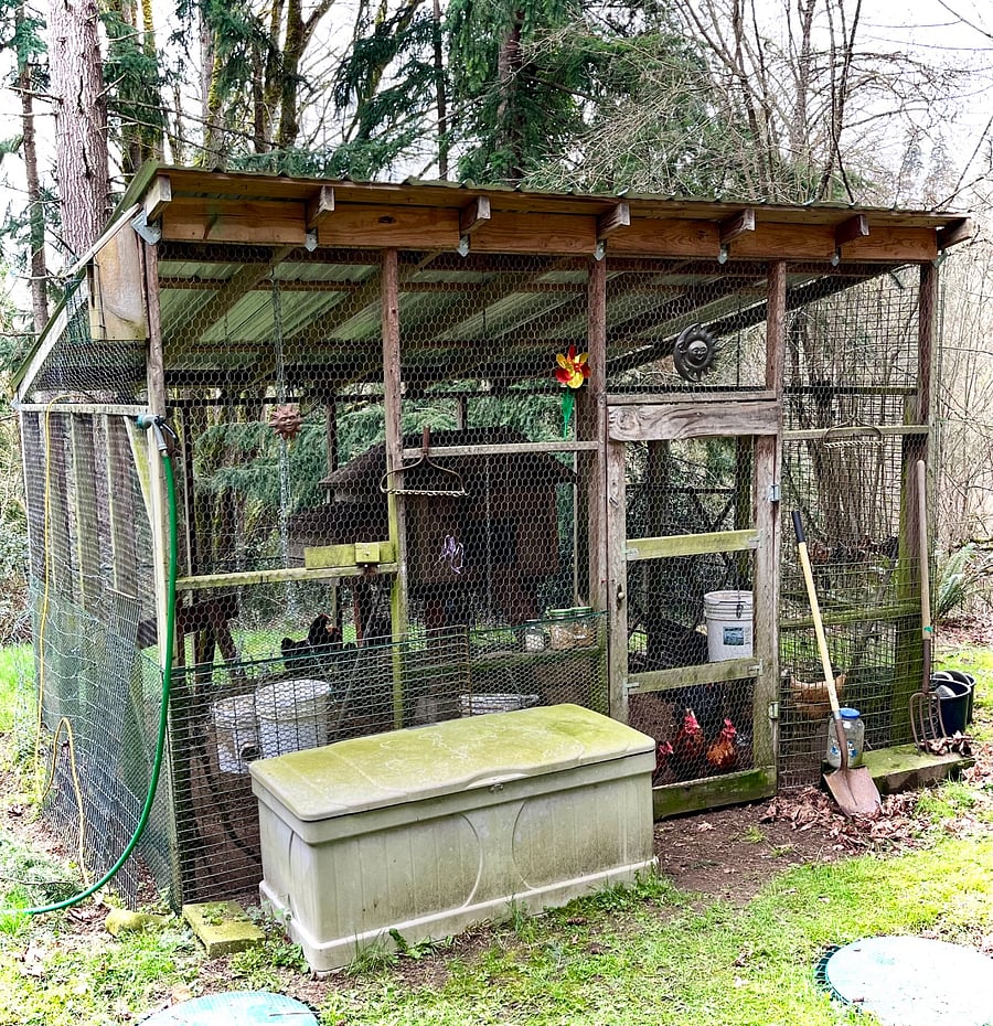 Chicken coop with our feathered friends.