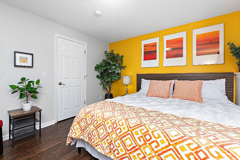 Furnished Finder property 507185_1 photo 51