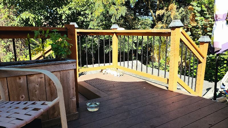 Furnished Finder property 507318_1 photo 22