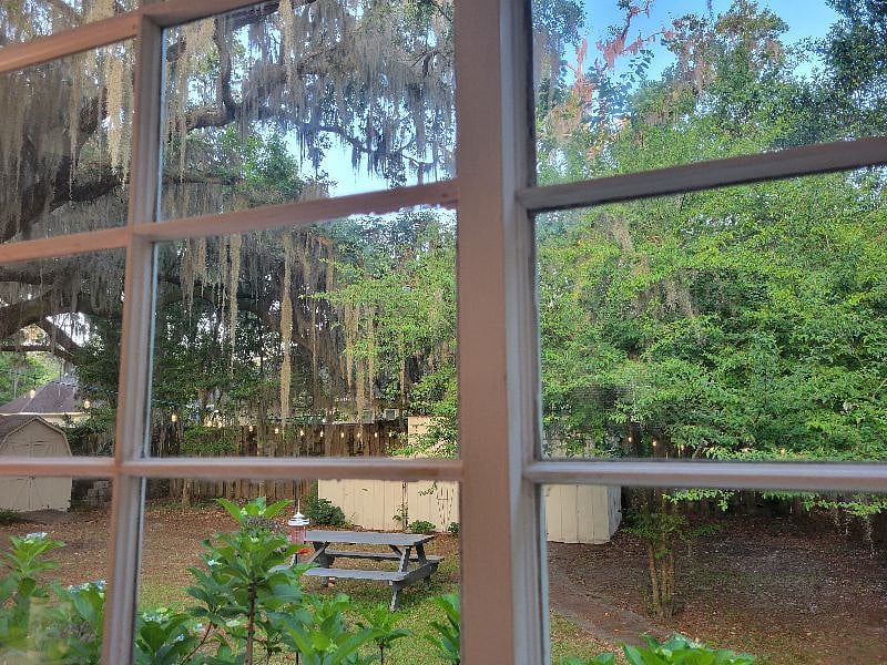 Backyard view from the sitting area