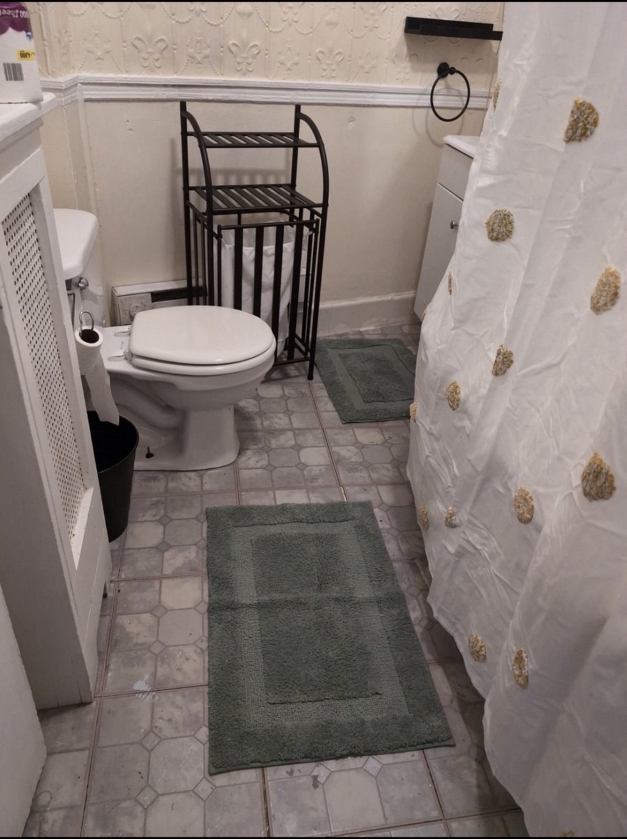Furnished Finder property 507558_3 photo 21