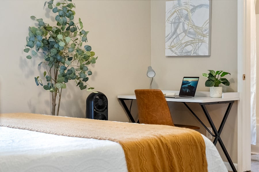 Furnished Finder property 507607_1 photo 7