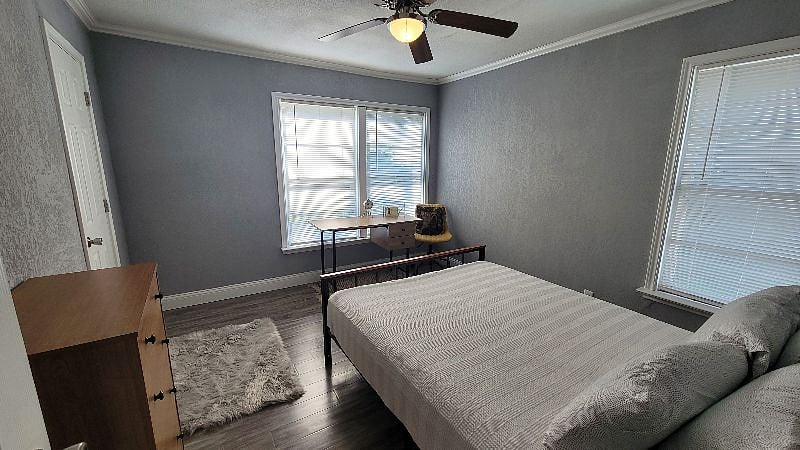 Furnished Finder property 507610_1 photo 4