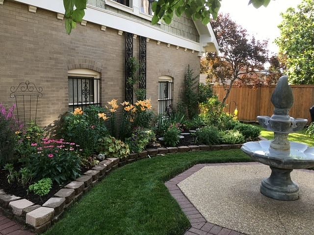 Back Yard Garden