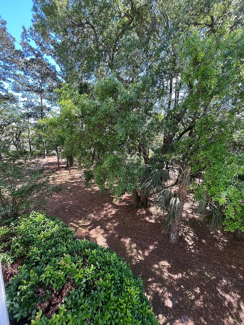 Furnished Finder property 507687_1 photo 25
