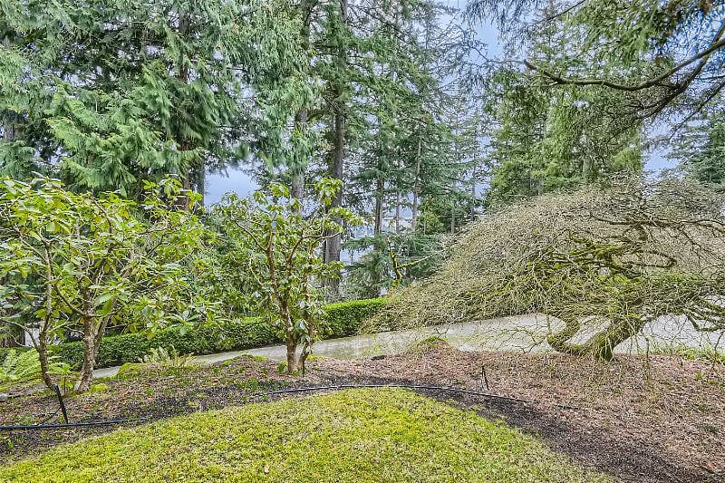Partial view of Lake Washington.