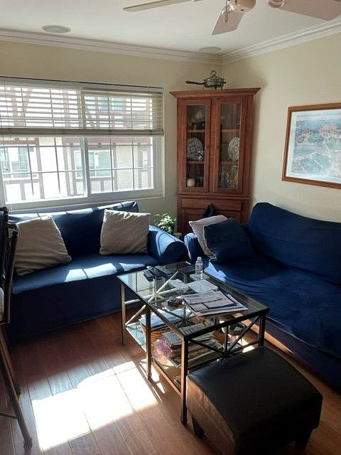 Furnished Finder property 507851_1 photo 14