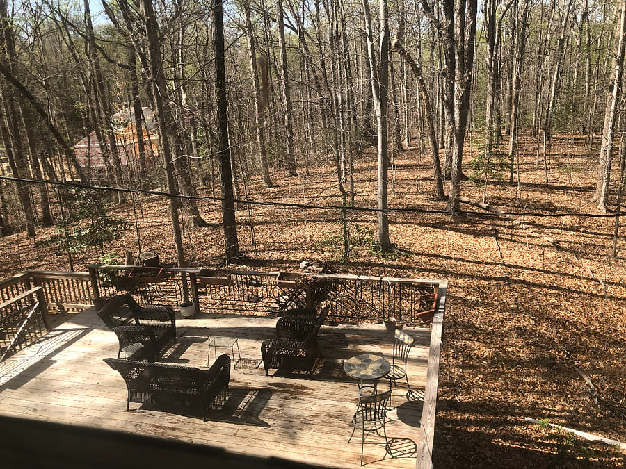 The deck and woods outside your window. You're welcome to use the deck!