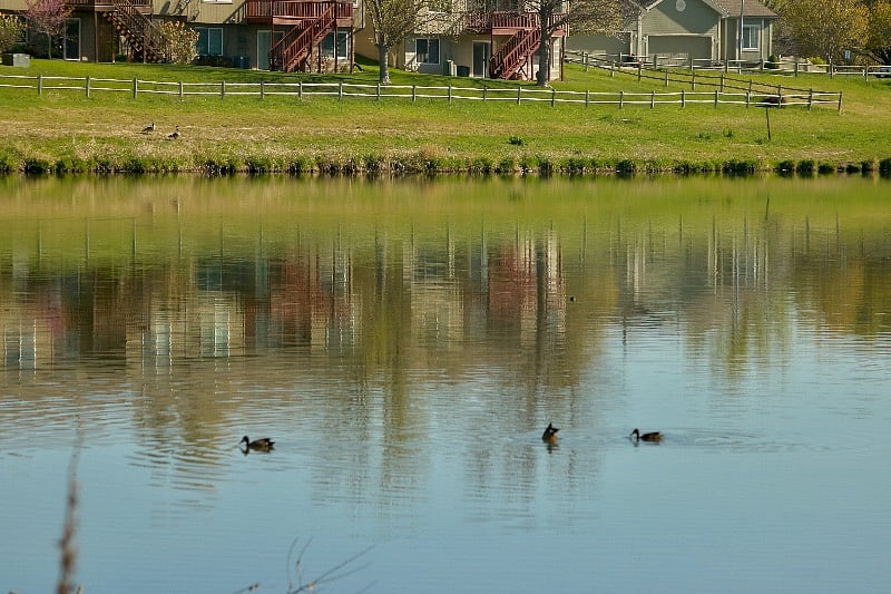 Private subdivision lake.  Great for walks; Canada geese, ducks, Heron (occasionally).
