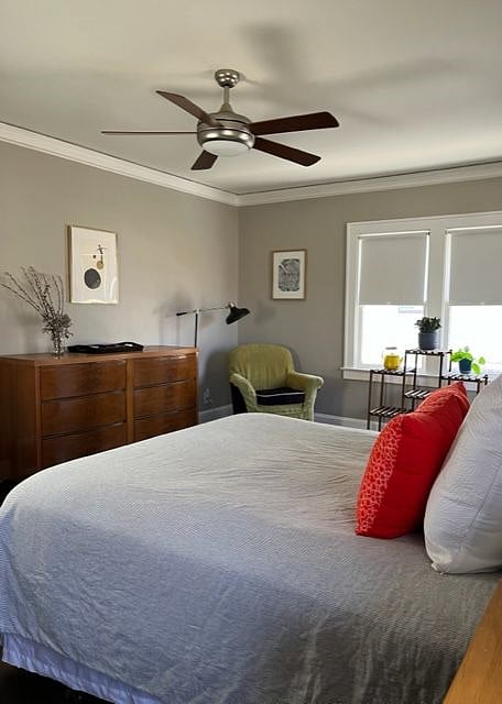 Furnished Finder property 508087_1 photo 19