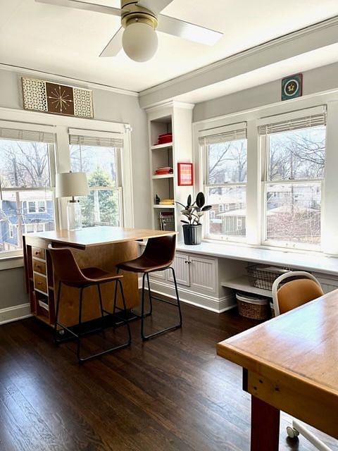 Furnished Finder property 508087_1 photo 24