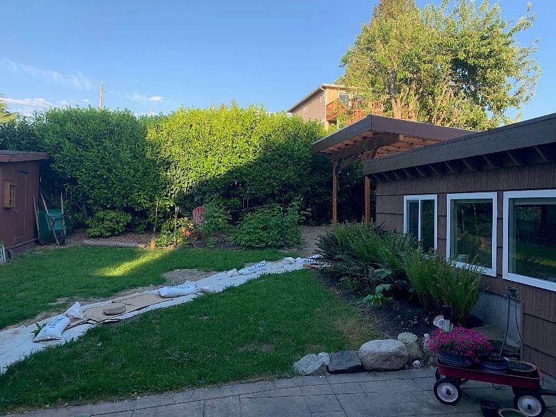 Our backyard, with studio to the right. We are working on the path!