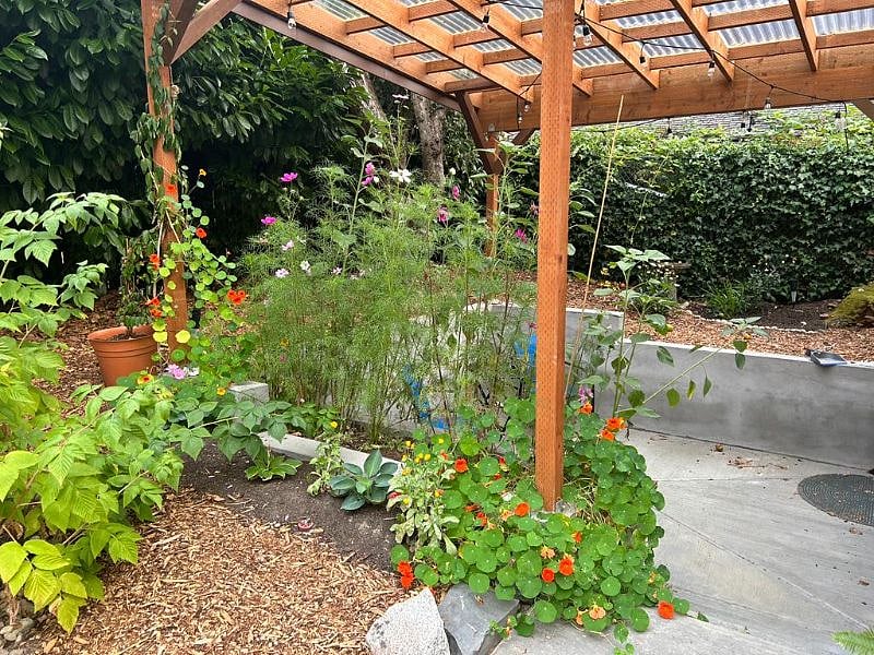 Covered Patio in summer.