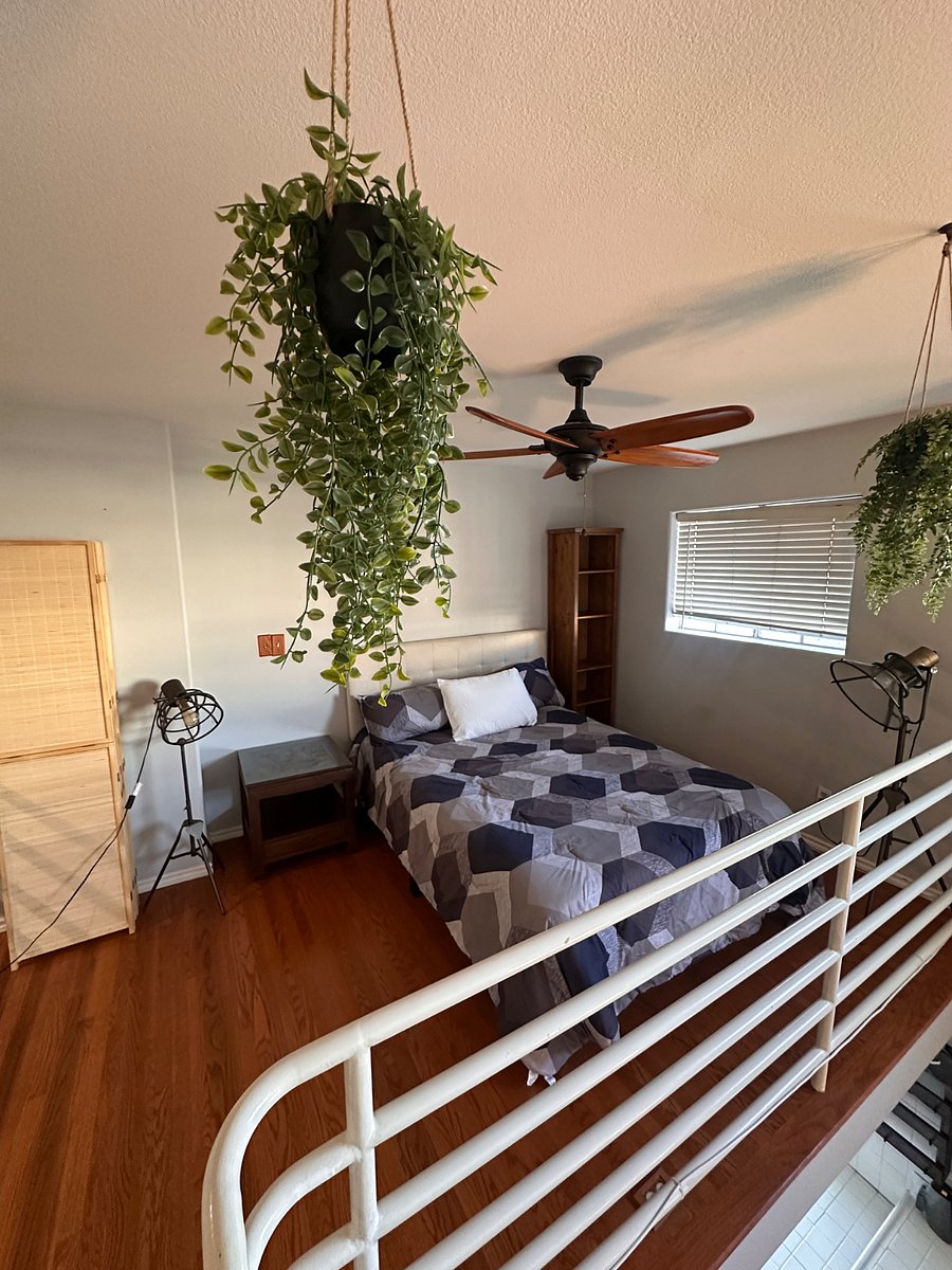 Furnished Finder property 508147_1 photo 11
