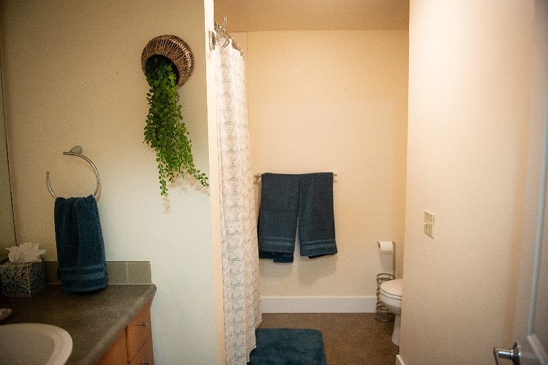 Furnished Finder property 508194_1 photo 18