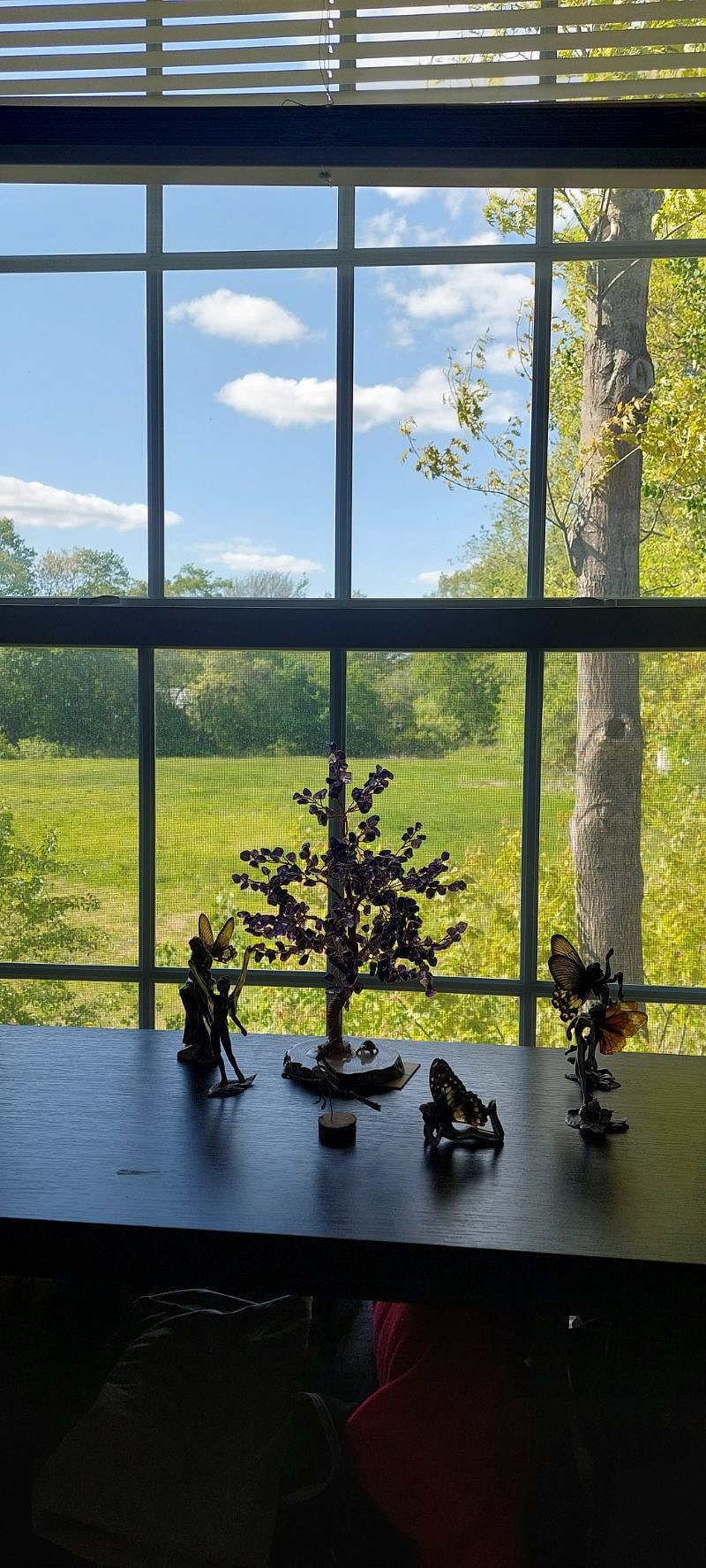 View outside the bedroom on a beautiful day