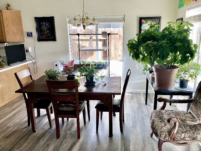 Furnished Finder property 508263_1 photo 10
