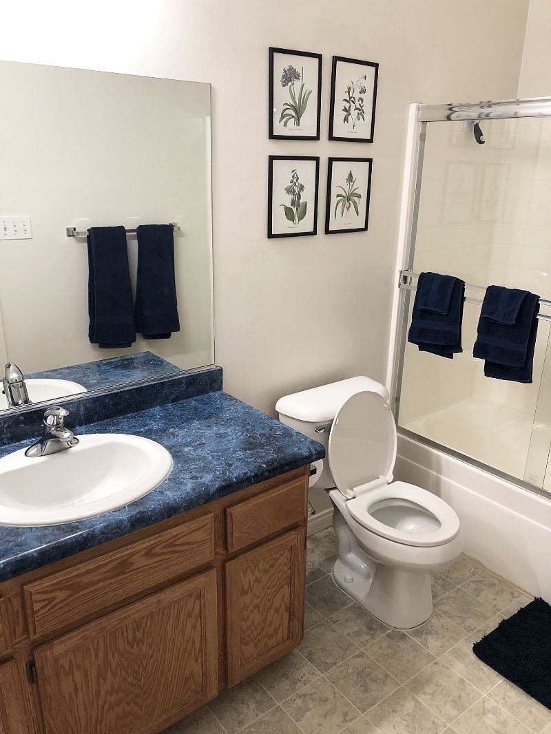 Furnished Finder property 508263_1 photo 12