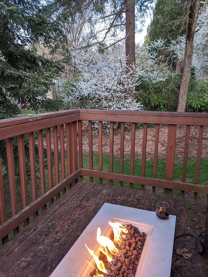 Furnished Finder property 508282_1 photo 16