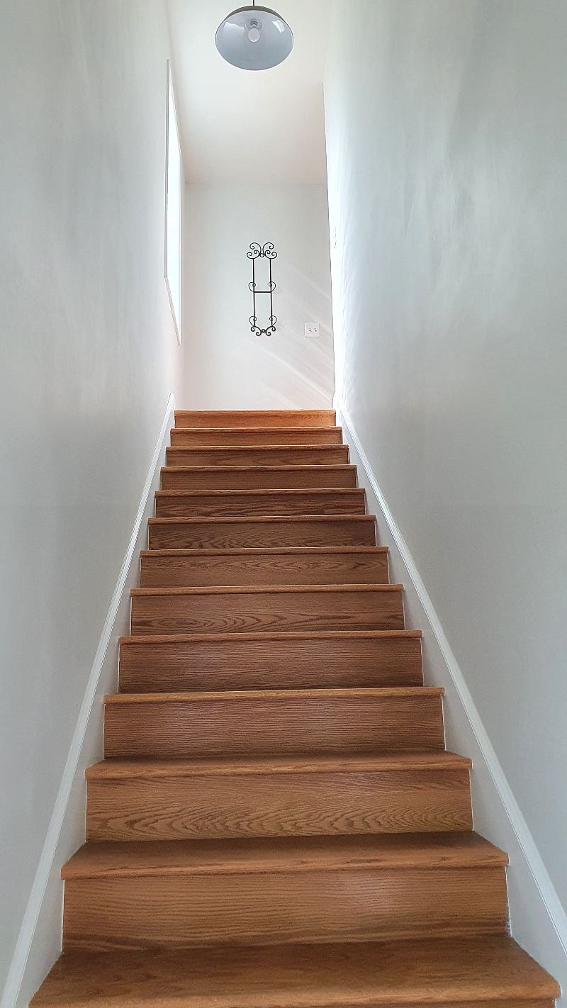 Furnished Finder property 508293_1 photo 7
