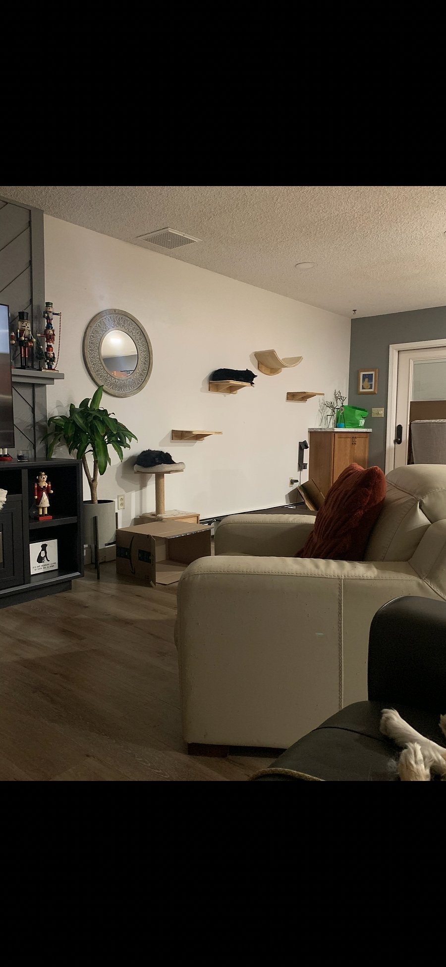Furnished Finder property 508391_1 photo 15