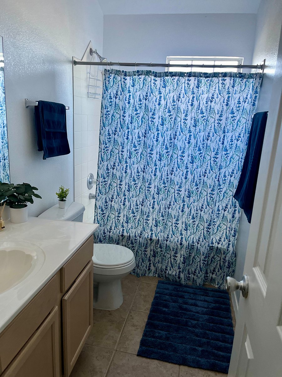Furnished Finder property 508490_1 photo 20