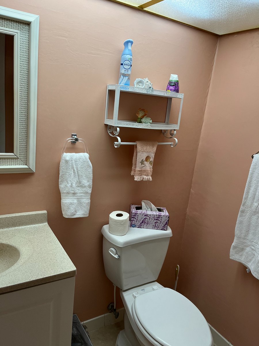 Furnished Finder property 508534_1 photo 29