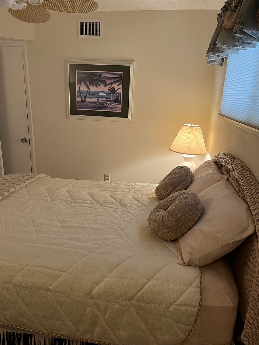 Furnished Finder property 508534_1 photo 31