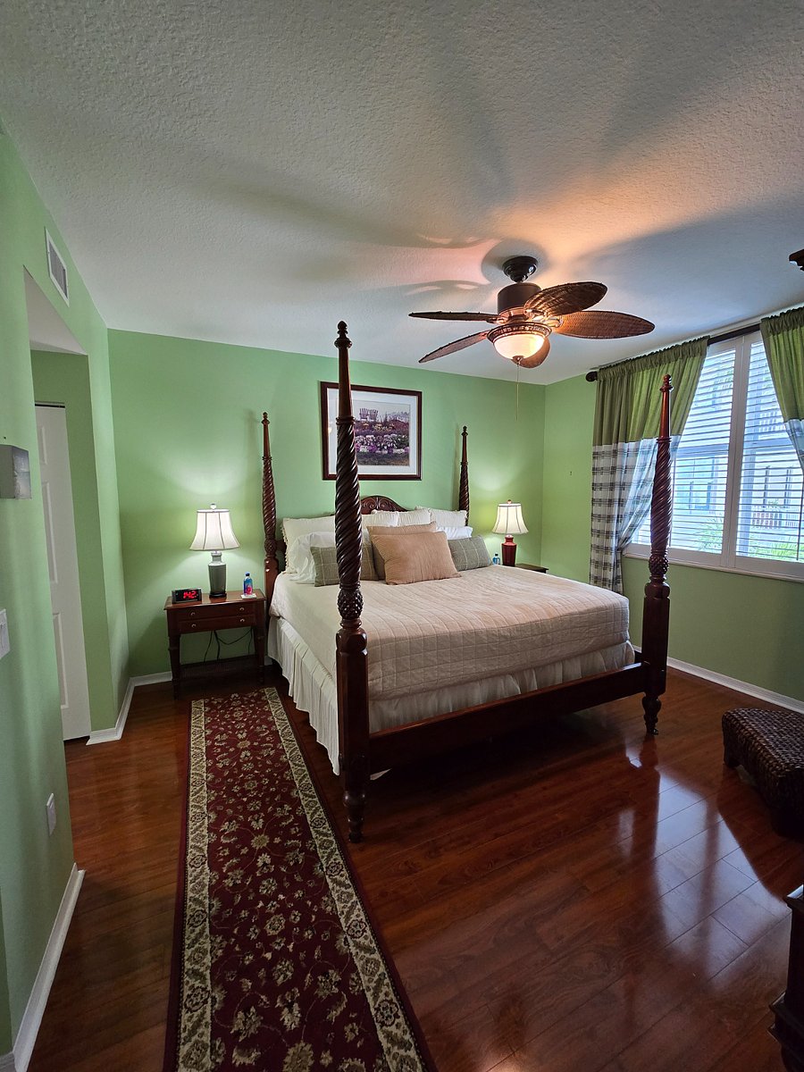 Furnished Finder property 508600_1 photo 18