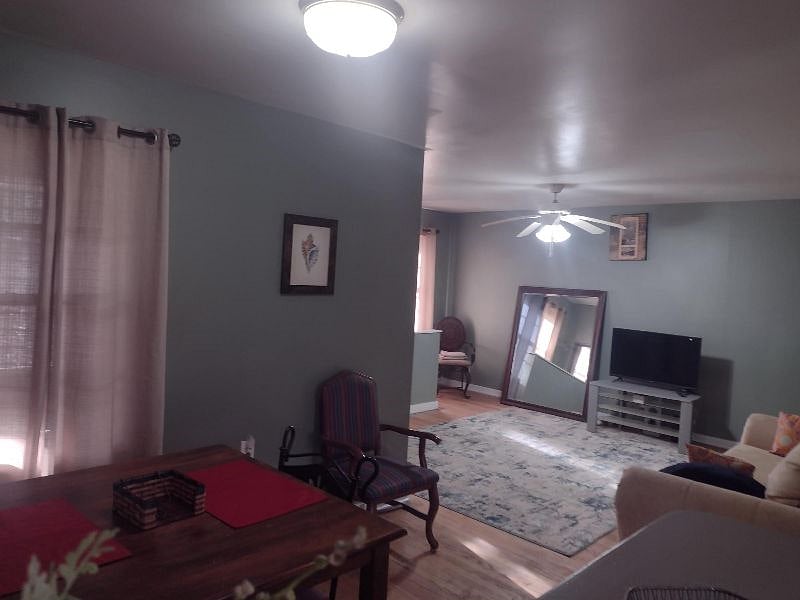 Furnished Finder property 508629_1 photo 19