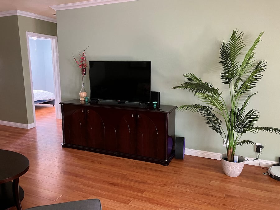 Furnished Finder property 508762_1 photo 10