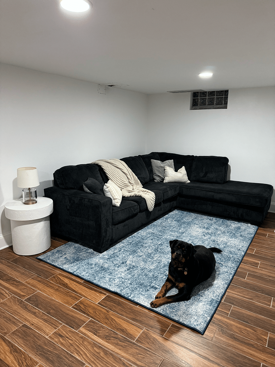 Basement living area.