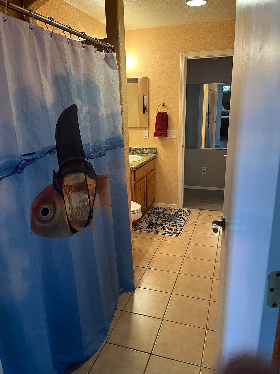 Furnished Finder property 508867_2 photo 8
