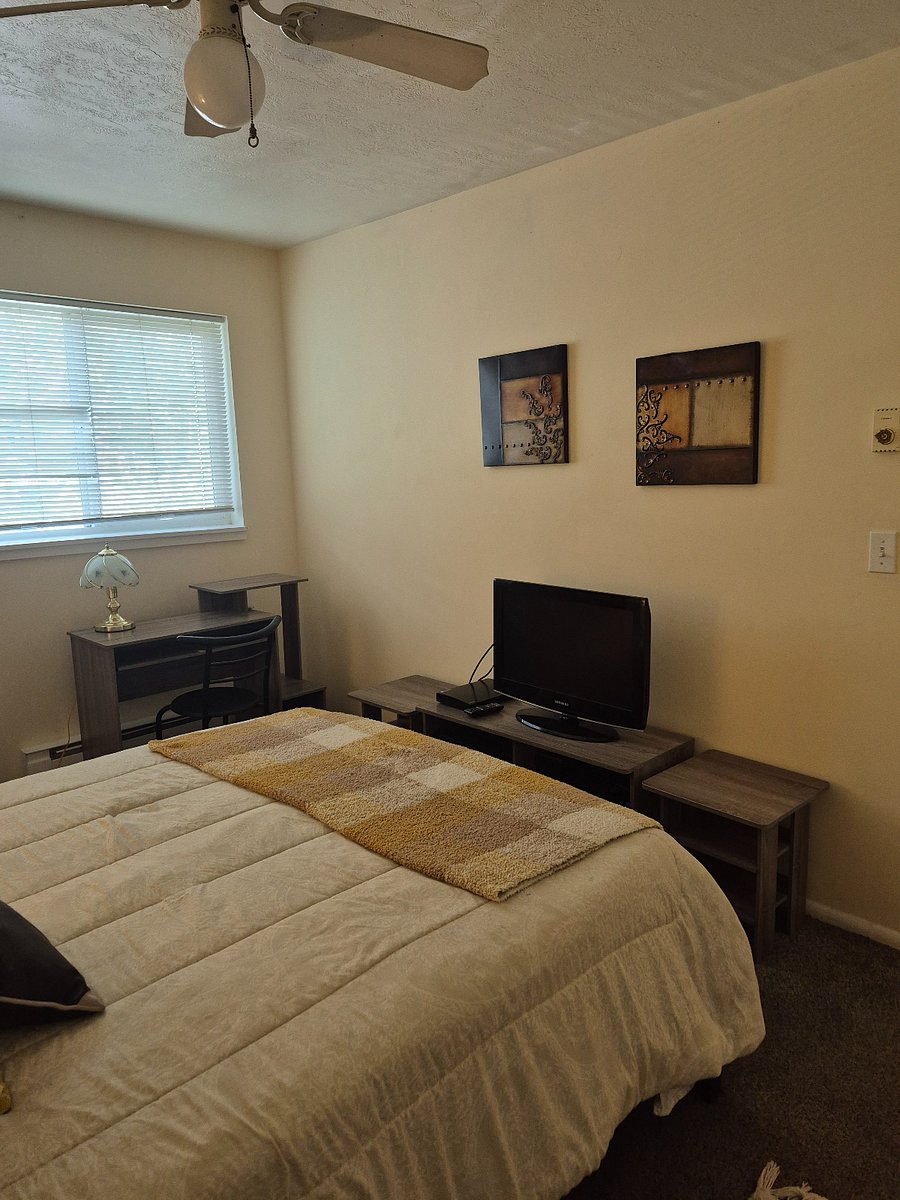 Furnished Finder property 508909_1 photo 8
