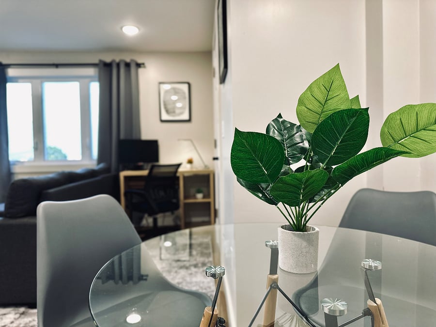 Furnished Finder property 508916_2 photo 11
