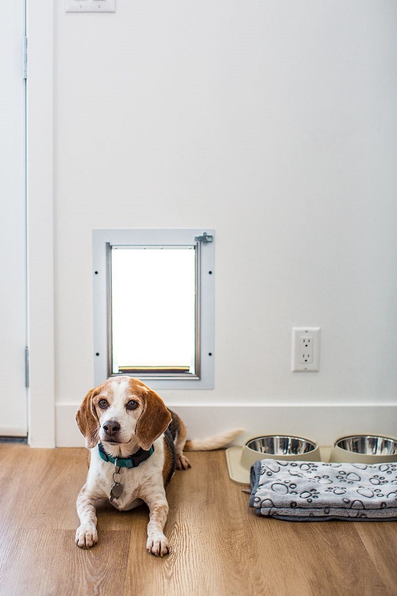 Doggy door with doggy bowl and blankets for your furry little one