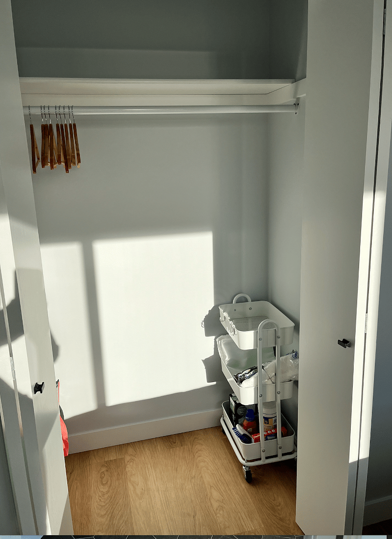 deep, lighted closet w/ storage cart and laundry bag