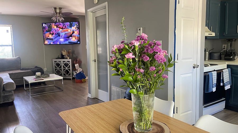 Furnished Finder property 509126_1 photo 13