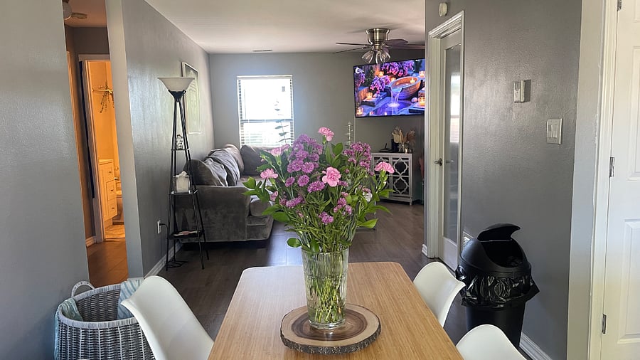 Furnished Finder property 509126_1 photo 17