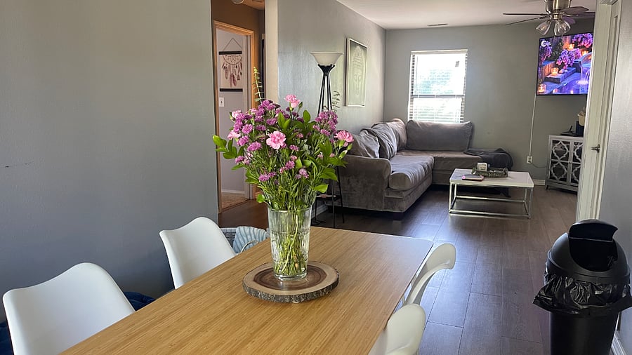 Furnished Finder property 509126_1 photo 18