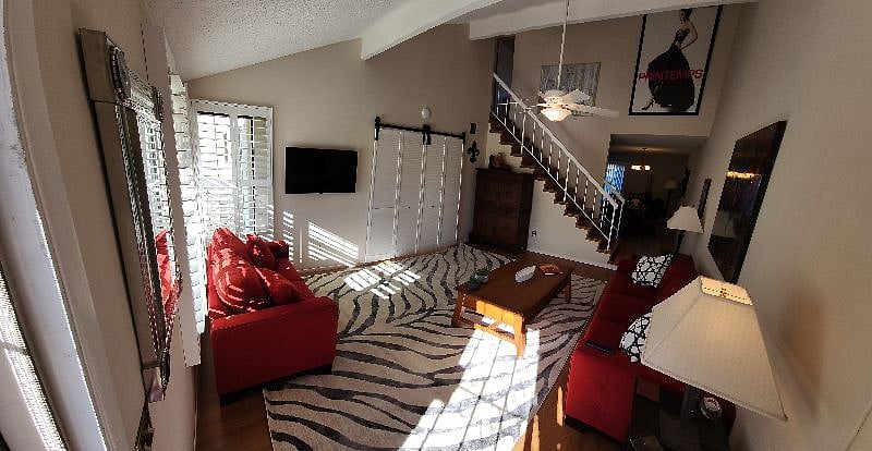Furnished Finder property 509164_1 photo 24