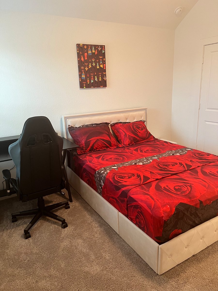 Furnished Finder property 509479_1 photo 8