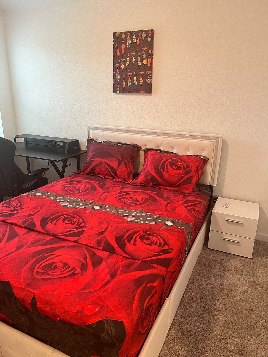 Furnished Finder property 509479_1 photo 9
