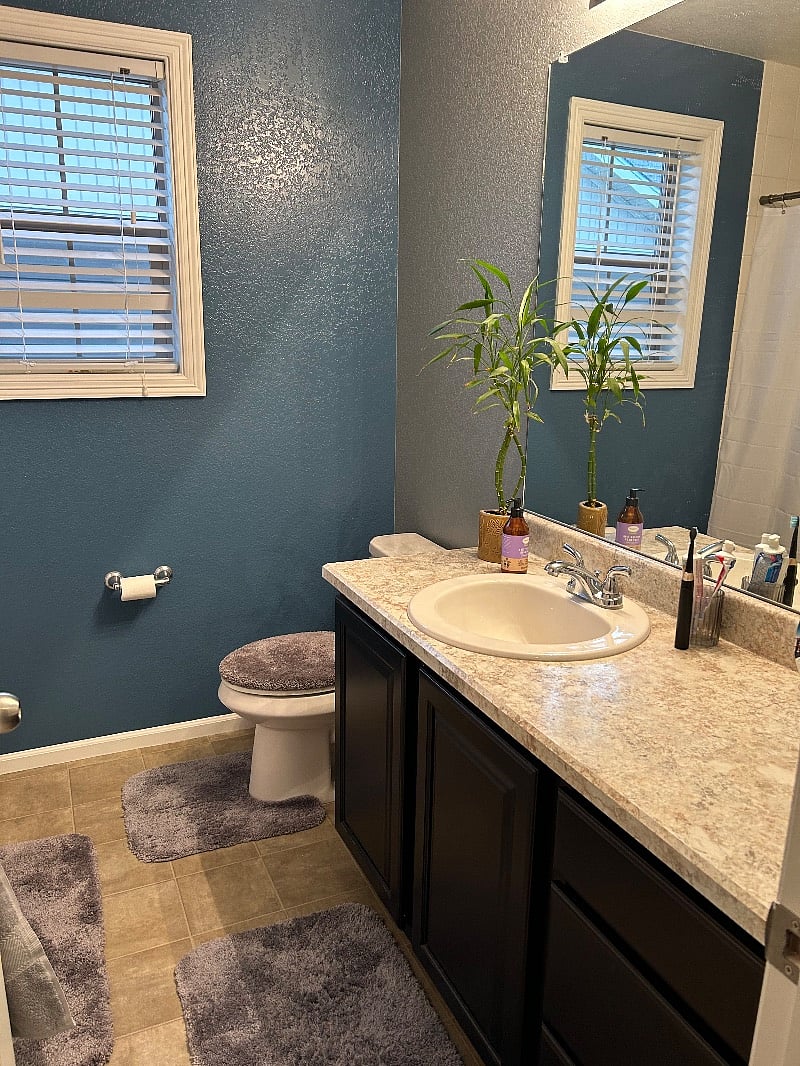 Furnished Finder property 509509_1 photo 6