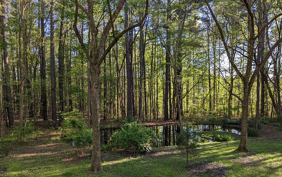Pond in the back yard...no fishing :-)